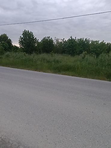 quba 5 sotlar: 35 sot, Kənd təsərrüfatı, Maklerlər narahat etməsin, Kupça (Çıxarış) — 8