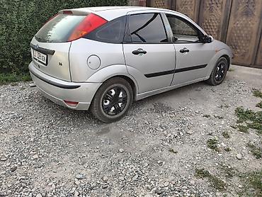 raf 4: Ford Focus: 2004 г., 1.6 л, Хэтчбэк — 1