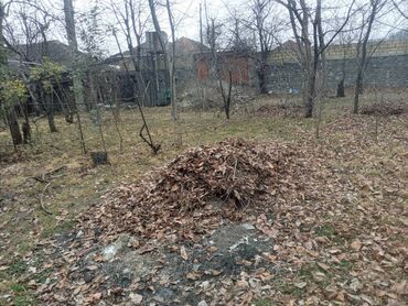 yeni gunesli torpaq satilir: 3 sot, Tikinti, Mülkiyyətçi, Kupça (Çıxarış)