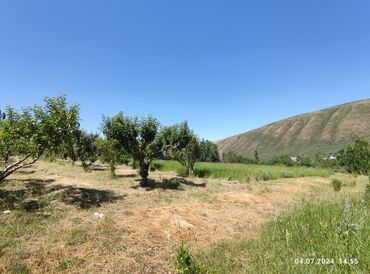 Продажа участков: 255 соток, Для сельского хозяйства — 9