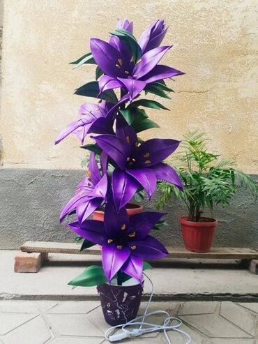 Другие услуги: Другие услуги — 10