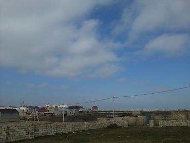 Torpaq: 8 sot, Mülkiyyətçi, Kupça (Çıxarış) — 3