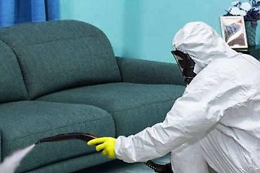 борь: Дезинфекция, дезинсекция, | Клопы, Блохи, Тараканы, | Транспорт, Офисы, Квартиры — 4
