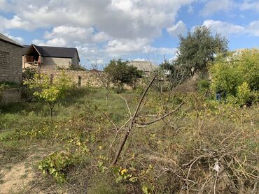 Bağ evlərinin satışı: Bakı, Albalı, 110 kv. m, 3 otaqlı, Hovuzsuz, Kanalizasiya, Qaz, Su -da lalafo.az — 7 Bağ evlərinin satışı: Bakı, Albalı, 110 kv. m, 3 otaqlı, Hovuzsuz, Kanalizasiya, Qaz, Su — 7