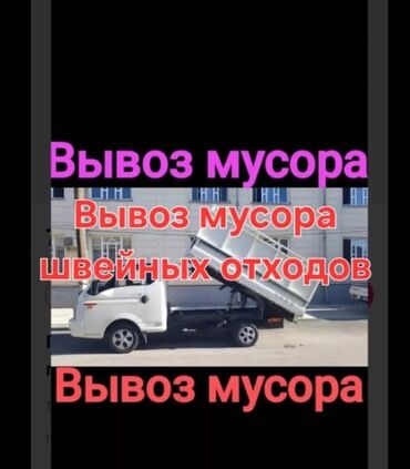 грызуны домашние: Вывоз Мусора Вывоз Мусора Вывоз Мусора Вывоз Мусора Вывоз Мусора
