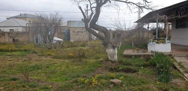 Torpaq sahələrinin satışı: 34 sot, Tikinti, Mülkiyyətçi, Kupça (Çıxarış) -da lalafo.az — 22 Torpaq sahələrinin satışı: 34 sot, Tikinti, Mülkiyyətçi, Kupça (Çıxarış) — 22