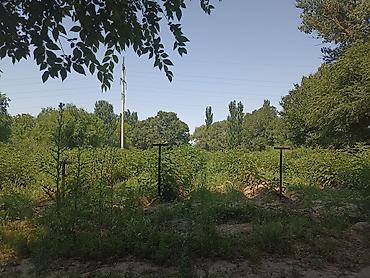 Продажа участков: 4500 соток — 10