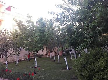 qara qarayev satilan evler: 220 kv. m, 6 otaqlı, Kanalizasiya, Kombi, Qaz — 3