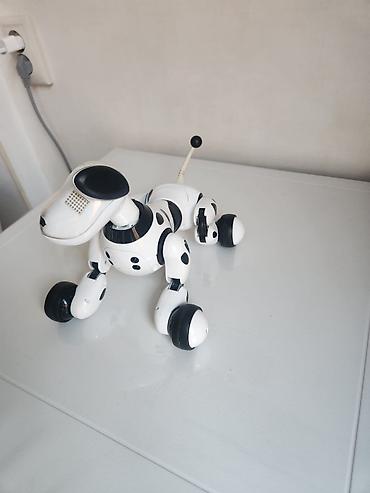 Oyuncaqlar: Ağıllı robot it Zummer.Orijinaldır xaricden getirilib.Tekerli rahat — 2