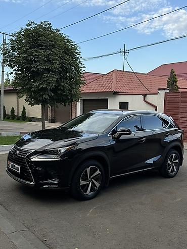 lexus: Lexus NX: 2019 г., 2 л, Вариатор, Бензин, Кроссовер — 2