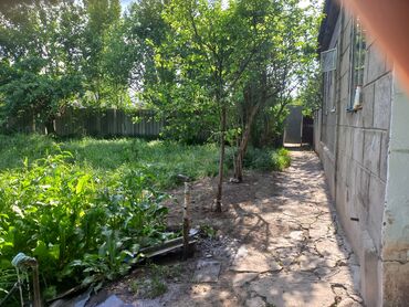 Продажа участков: 42 соток, Для сельского хозяйства, Красная книга, Тех паспорт