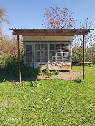 киоск: Metall konstruksiyalı köşk/konteyner tipli kiçik pavilon - Material — 2