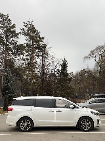 Kia: Kia Carnival: 2019 г., 2.2 л, Автомат, Дизель, Минивэн — 6