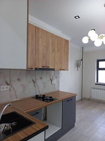 Батирлерди сатуу: 1 бөлмө, 45 м², Элитка, 10 кабат — 3