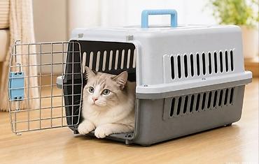 переноска кота: Переноска для кошек и мелких собак - Жесткий пластиковый бокс с — 2