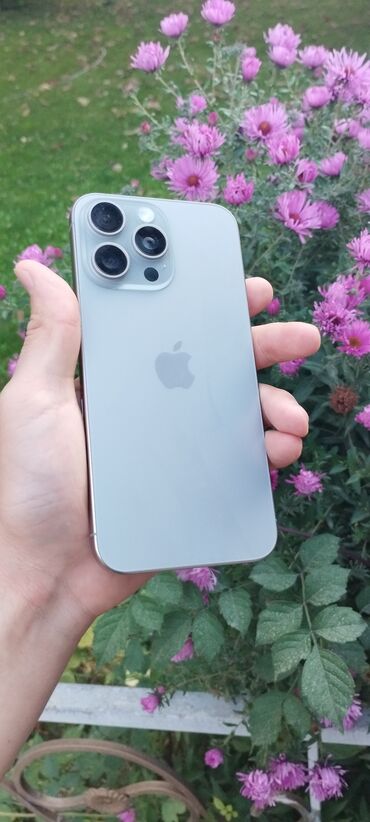 айофн 11: IPhone 15 Pro Max, Колдонулган, 256 ГБ, Natural Titanium, Заряддоочу түзүлүш, Коргоочу айнек, Каптама, 100 %