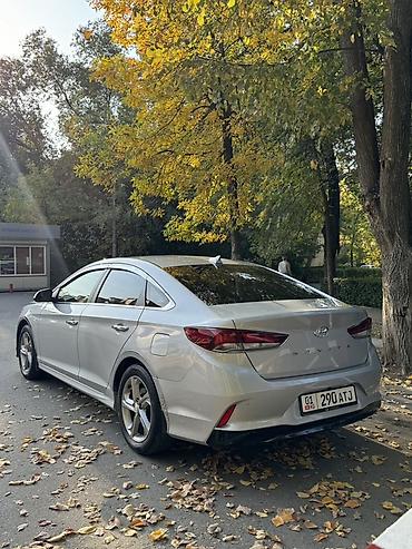 yuan up: Hyundai Sonata: 2019 г., 2 л, Автомат, Бензин, Седан — 5