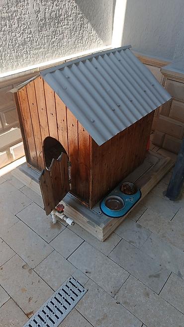 it setkasi: Taxta it evi və aksesuarlar - Material: qalın taxta panellər — 1