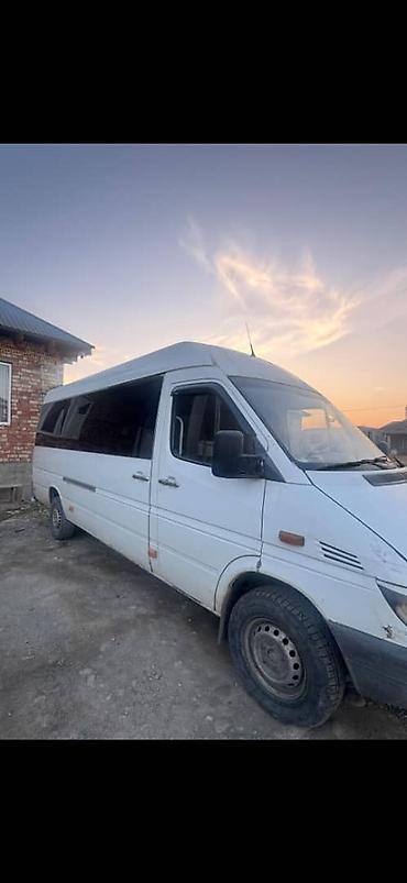 rental car: Mercedes-Benz Sprinter (длинная база, высокий крыша), белый — 2
