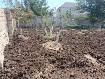 Torpaq sahələrinin satışı: 6 sot, Tikinti, Makler, Bələdiyyə — 11