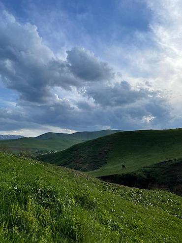 yasamal is elanlari: 10 sot, Tikinti, Mülkiyyətçi, Kupça (Çıxarış) — 3