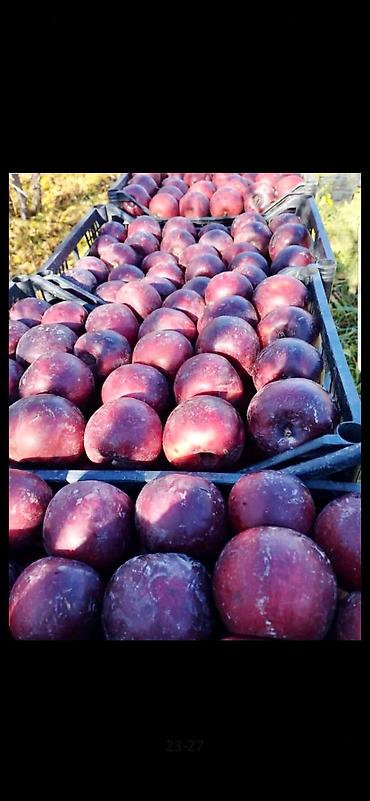 Ящики: Ящик, Новый — 18