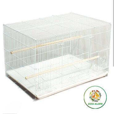 Qəfəslər: Tutuquşu qəfəsi. Qəfəs valyer (arakəsməsiz) Qəfəsin ölçüsü 60sm eni -da lalafo.az — 6 Qəfəslər: Tutuquşu qəfəsi. Qəfəs valyer (arakəsməsiz) Qəfəsin ölçüsü 60sm eni — 6