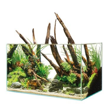 akvarium baliqi: Akvarium satilir. 80×30×40 razmeri. qalin susedendi 2 denedir isteyen