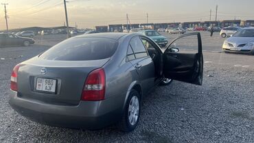 фары ниссан примера р11 рестайлинг: Nissan Primera: 2003 г., 1.8 л, Автомат, Бензин, Седан