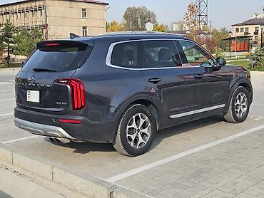 аналог: Kia Telluride: 2019 г., 3.8 л, Автомат, Бензин, Кроссовер — 5