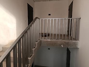 тынчтык ж м: 500 м², 6 бөлмө жана андан көп, Жаныбарлары жок — 6