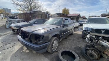 Mercedes-Benz: Mercedes-Benz W124: 1995 г., 2.2 л, Механика, Бензин, Седан