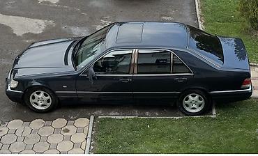 mersedes e class: Mercedes-Benz S-Class: 1996 г., 5 л, Автомат, Бензин, Седан — 1