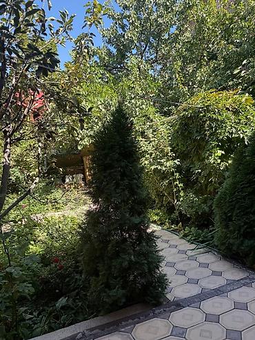 квартиры бишкек снять: 54 м², 1 комната, Рабочий Городок, Без животных — 8