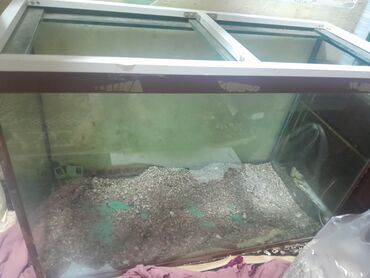 Çəngəllər: Şüşə akvarium və dekor dəsti - Ölçü: təxmini böyük həcmli düzbucaqlı