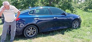 саната уф: Kia Optima: 2020 г., 2.4 л, Автомат, Бензин, Седан — 3