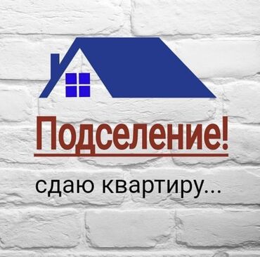 квартира 2 комната бишкек: 2 бөлмө, Менчик ээси