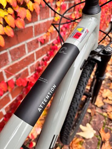 Горные велосипеды: Горный велосипед, Cube, Рама L (172 - 185 см), Алюминий, Новый — 7