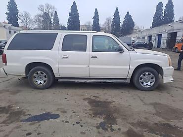 gazel diski tekeri: Cadillac Escalade: 6 l | 2005 il 471000 km Krossover — 3