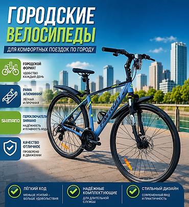 Городские велосипеды: Городской велосипед, Рама L (172 - 185 см), Новый — 1