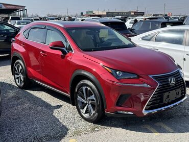 Lexus: Lexus NX: 2018 г., 2 л, Автомат, Бензин, Кроссовер