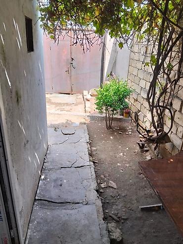bine sovxoz evler: Çox tecili.bineqedidesentralnıda1 sorun içinde 50kv 2 otaqll — 4