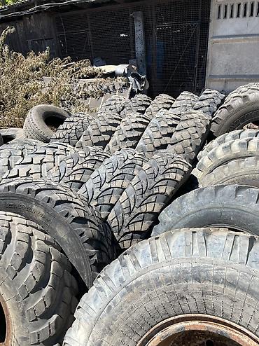 Шины: Шины и камеры на сельхозтехнику и спецтехнику Т-150 погрузчики кара — 2