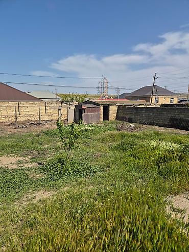 Torpaq: 4 sot, Tikinti, Kupça (Çıxarış) — 5