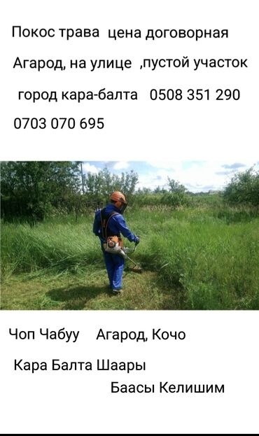 ремонт крыши многоквартирного дома бишкек: Стирка ковров