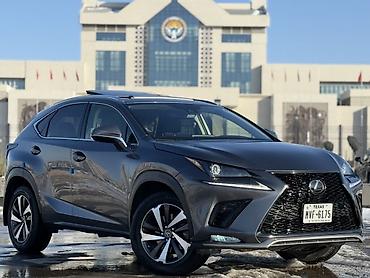 Lexus: Lexus NX: 2020 г., 2 л, Автомат, Бензин, Кроссовер — 3