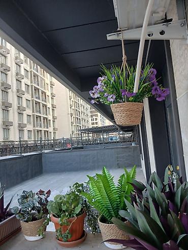 делал: 3 комнаты, 74 м², Южная Магистраль 2 этаж, Евроремонт — 4