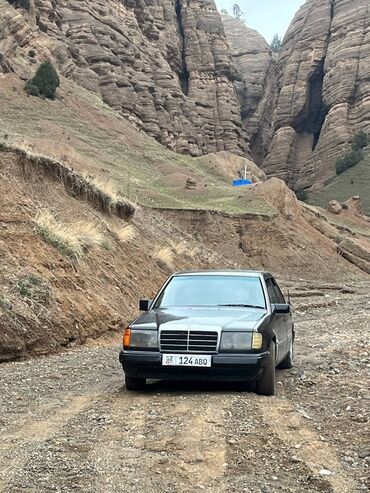 Mercedes-Benz: Mercedes-Benz W124: 1990 г., 2.9 л, Автомат, Дизель, Седан