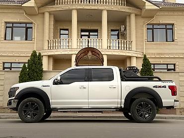 защитка фит: Ford F-150: 2020 г., 3.5 л, Автомат, Бензин, Пикап — 5