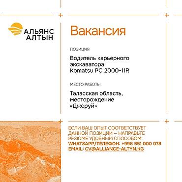 мед инструменты: Альянс Алтын открывает вакансии на месторождении «Джеруй» (Таласская — 2
